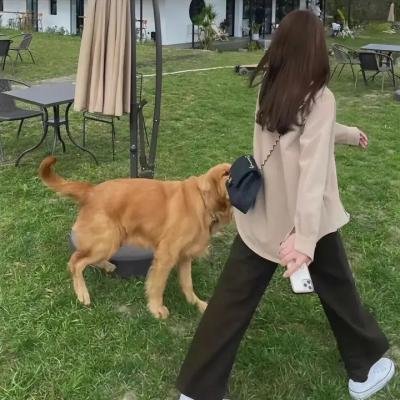 忧郁的物怪庵第一季